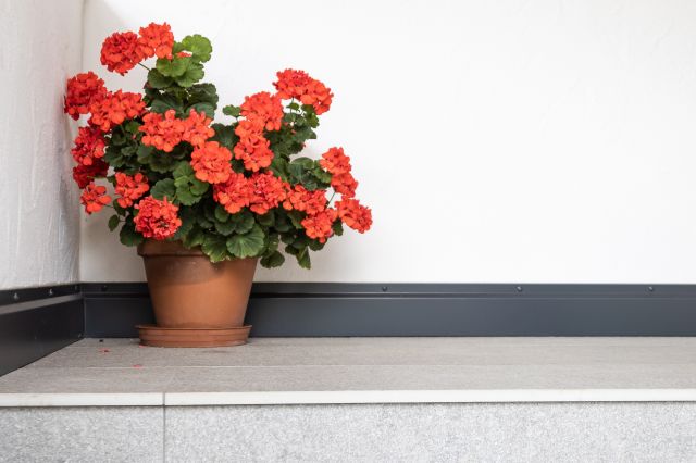 Farmholidays in Val Badia, Apartments Moraier Image: Apartments Moraier