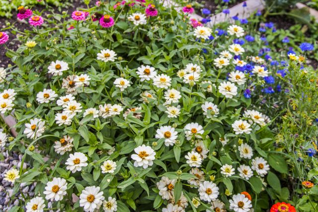 Farmholidays in Val Badia, Apartments Moraier Image: Apartments Moraier